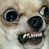 icon_11