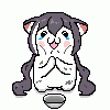 icon_5