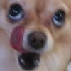 icon_9