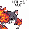 icon_19