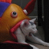 icon_31
