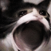 icon_2