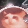 icon_24