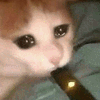icon_27