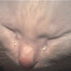 icon_21