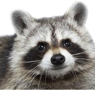 우어어ㅓㅓㅓ,,,,