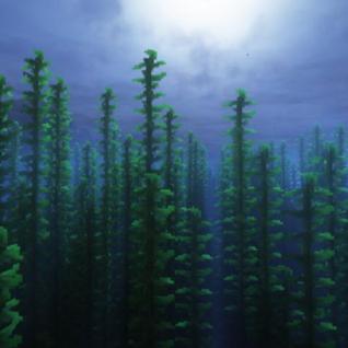 무드있는 수초 탐방